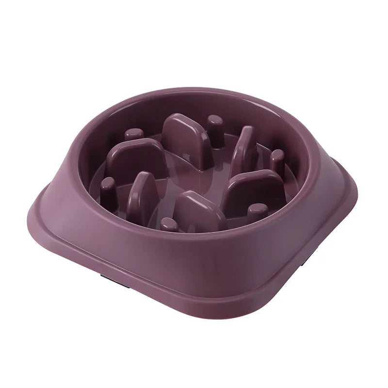 Healthy Slow Feeder Bowl