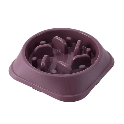 Healthy Slow Feeder Bowl