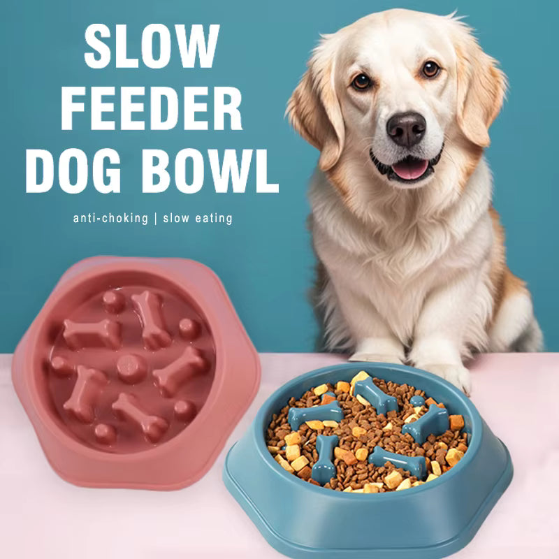 Healthy Slow Feeder Bowl