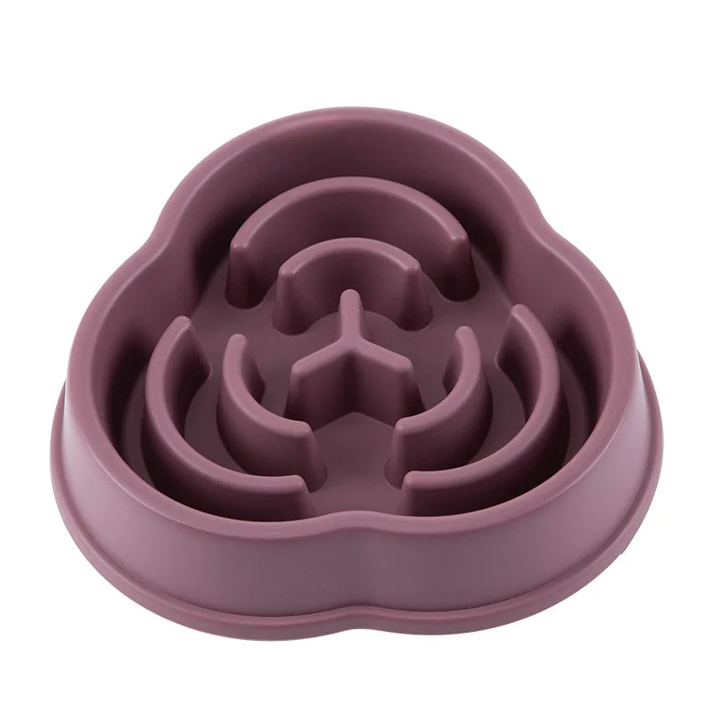Healthy Slow Feeder Bowl
