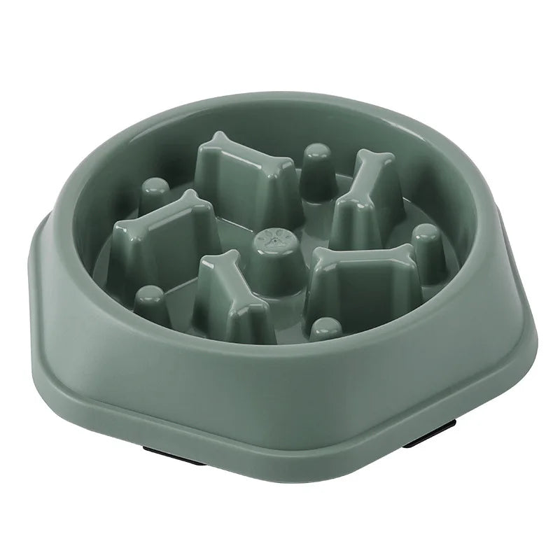 Healthy Slow Feeder Bowl