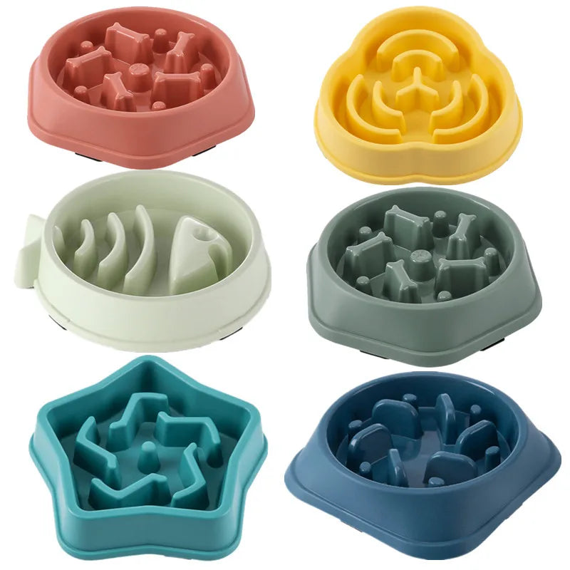 Healthy Slow Feeder Bowl